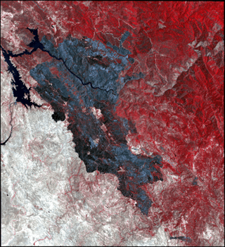 Figure 3 Detwiler Fire Spot 6 RGB False Color.png